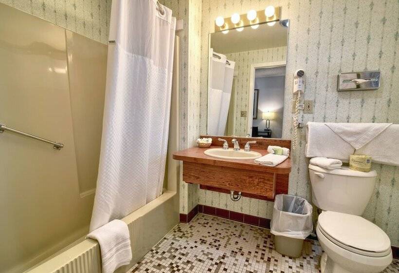 اتاق استاندارد با 2 تخت دوبل, Roosevelt Inn And Suites Saratoga Springs