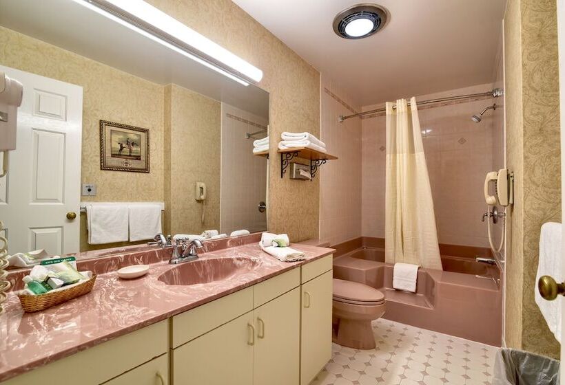 جناح سرير كينج, Roosevelt Inn & Suites Saratoga Springs