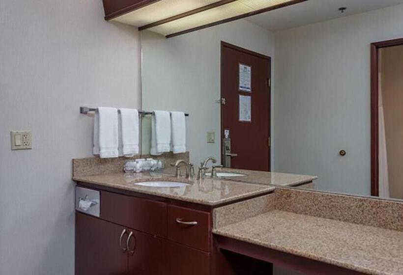 اتاق استاندارد با تخت بزرگ, Shilo Inns Idaho Falls