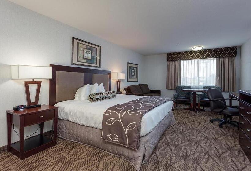 اتاق استاندارد با تخت بزرگ, Shilo Inn Suites  Idaho Falls