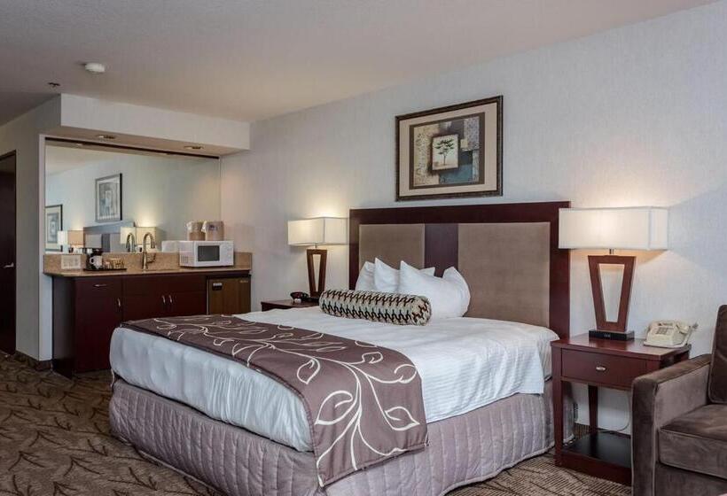 اتاق استاندارد با تخت بزرگ, Shilo Inn Suites  Idaho Falls