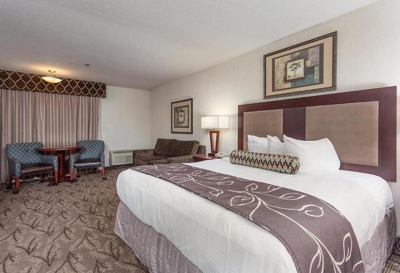 اتاق استاندارد با تخت بزرگ, Shilo Inn Suites  Idaho Falls