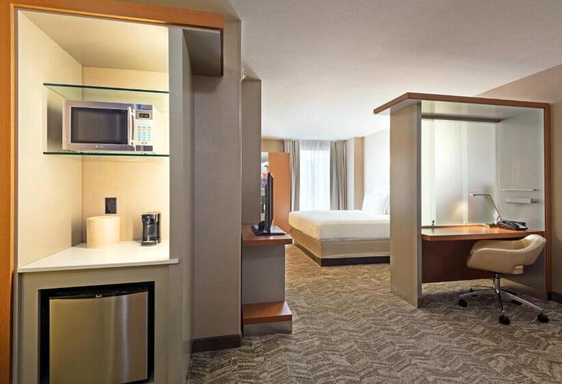 سوئیت با تخت بزرگ, Springhill Suites Louisville Downtown