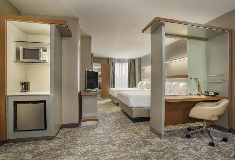 سوییت, Springhill Suites Louisville Downtown