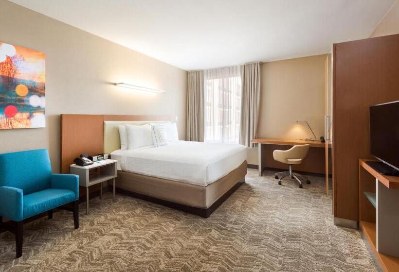 سوئیت اجرایی با تخت کینگ, Springhill Suites Louisville Downtown