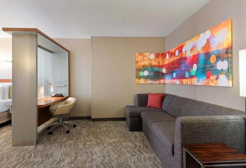 استودیو استاندارد با تخت کینگ, Springhill Suites Louisville Downtown