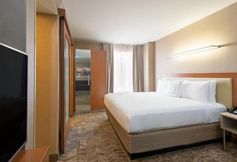 استودیو استاندارد با تخت کینگ, Springhill Suites Louisville Downtown
