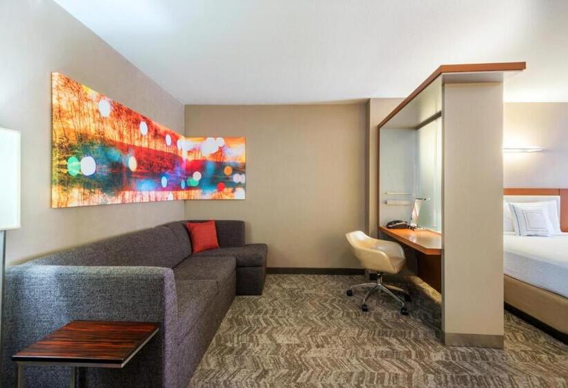 سوئیت برای معلولان, Springhill Suites Louisville Downtown