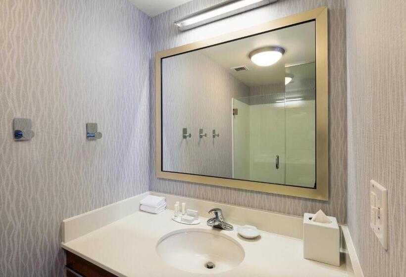 سوئیت برای معلولان, Springhill Suites Louisville Downtown