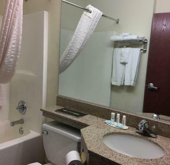 اتاق استاندارد, Microtel Inn & Suites By Wyndham Indianapolis Airport