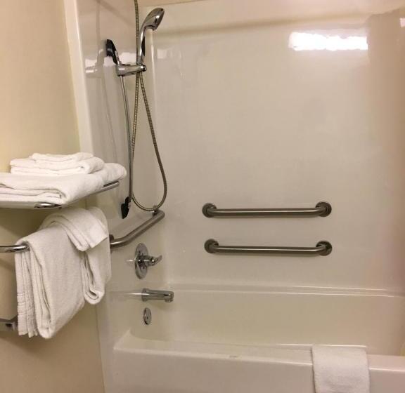 اتاق استاندارد برای معلولان, Microtel Inn & Suites By Wyndham Indianapolis Airport