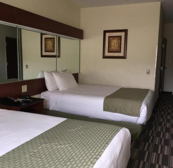 Standard Room Adapted for people with reduced mobility, Microtel Inn & Suites By Wyndham Indianapolis Airport