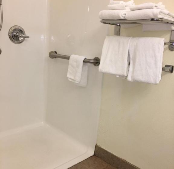 Standard Room Adapted for people with reduced mobility, Microtel Inn & Suites By Wyndham Indianapolis Airport