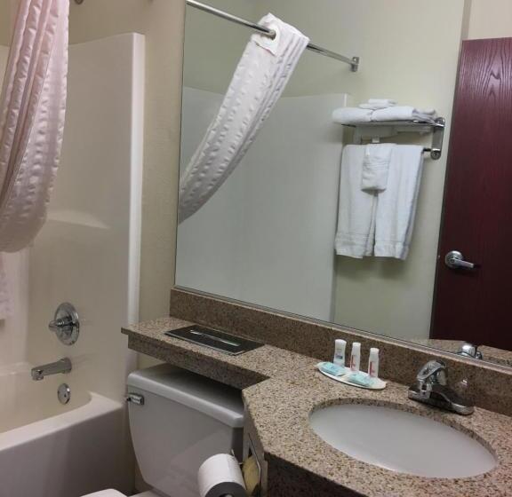 سوییت, Microtel Inn & Suites By Wyndham Indianapolis Airport