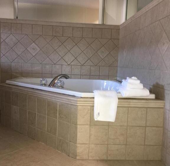 سوییت لوکس, Microtel Inn & Suites By Wyndham Indianapolis Airport