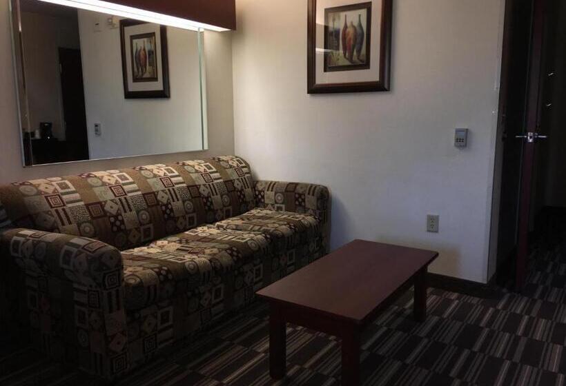 Suite Adapted for people with reduced mobility, Microtel Inn & Suites By Wyndham Indianapolis Airport