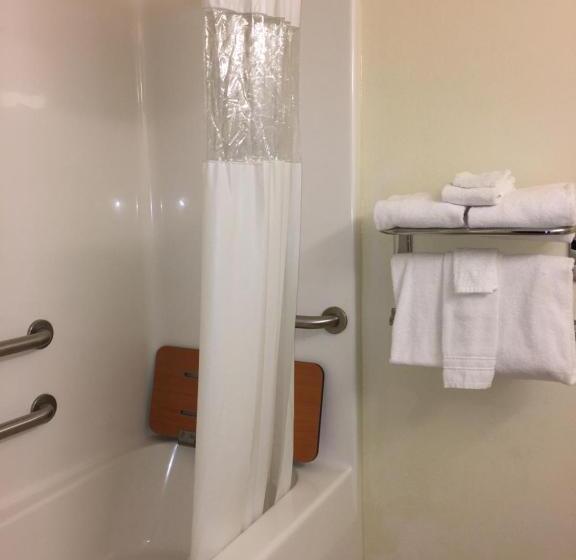 سوئیت برای معلولان, Microtel Inn & Suites By Wyndham Indianapolis Airport