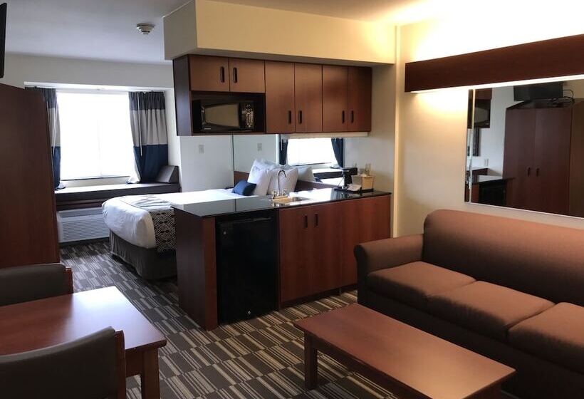 سوییت, Microtel Inn & Suites By Wyndham Indianapolis Airport