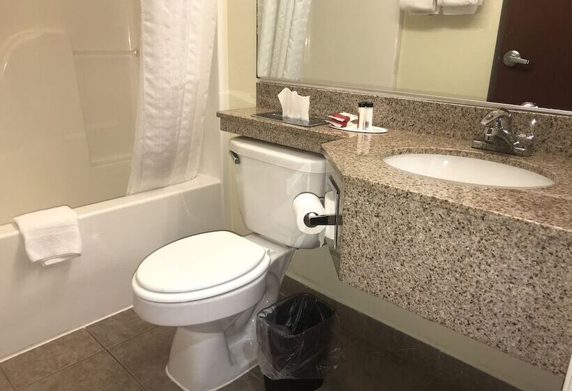 سوییت, Microtel Inn & Suites By Wyndham Indianapolis Airport