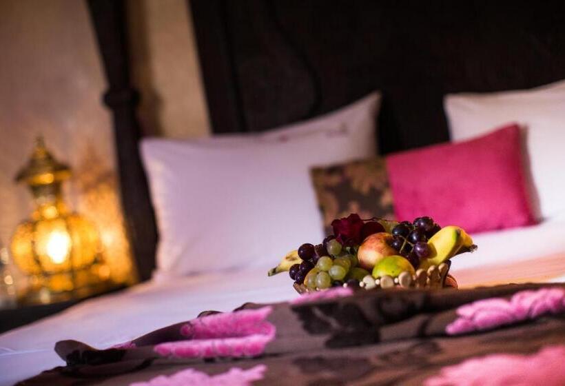 سوییت جونیور, Riad Mabrouk