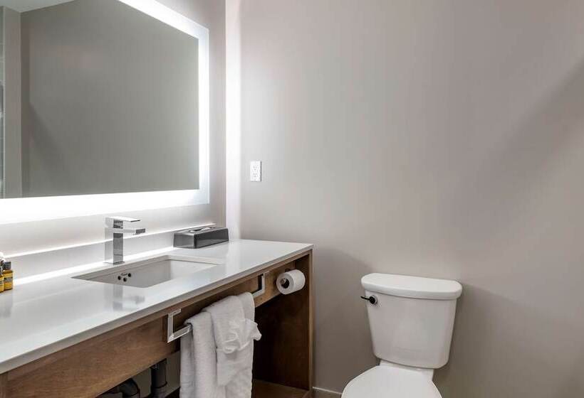 سوییت, Best Western Plus Dartmouth Hotel & Suites