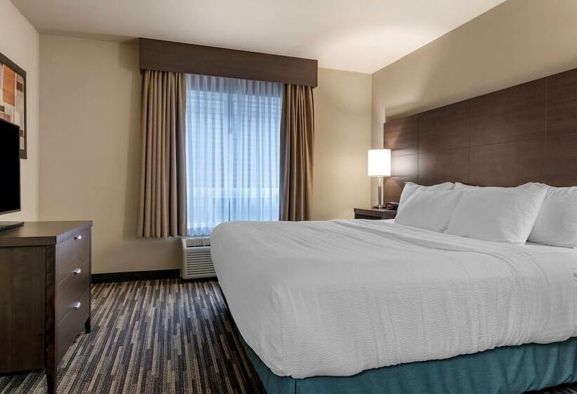 Suite, Best Western Plus Dartmouth  & Suites