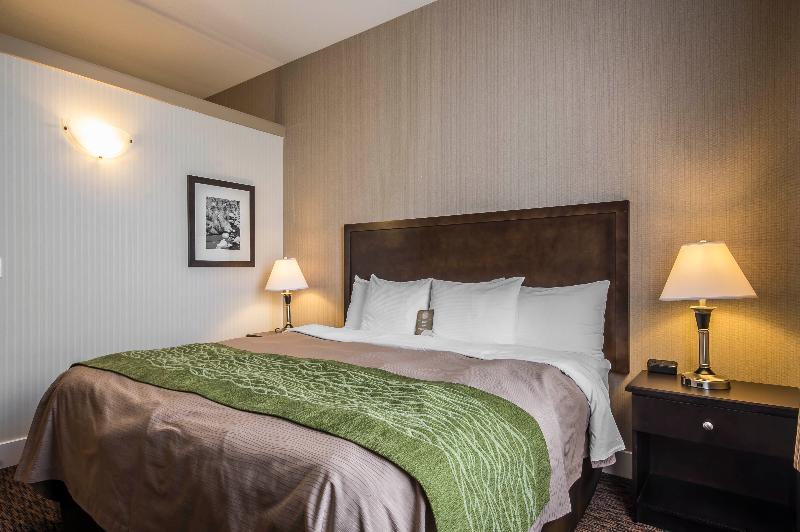 سوئیت با تخت بزرگ, Comfort Inn & Suites