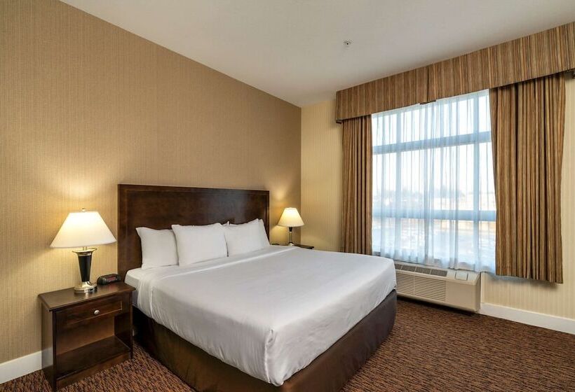 سوییت, Comfort Inn & Suites