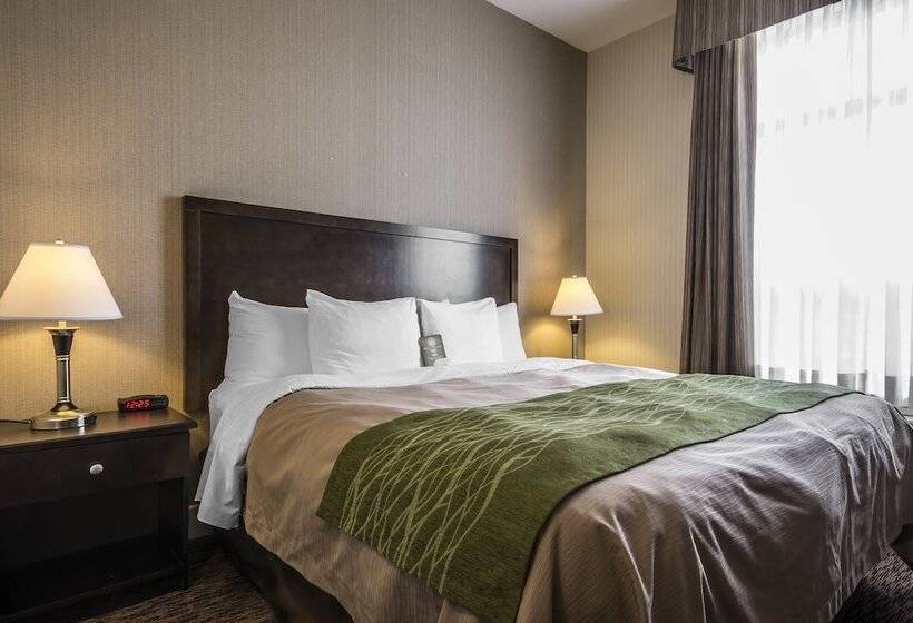 سوییت, Comfort Inn & Suites