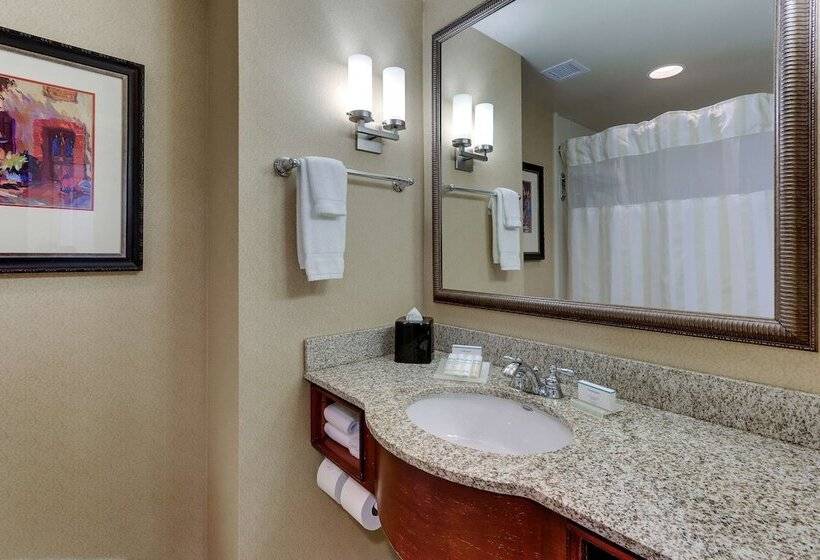 Standart Oda, Hilton Garden Inn Indianapolis Airport