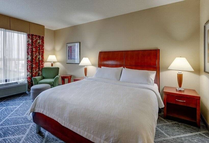 Süit, Hilton Garden Inn Indianapolis Airport