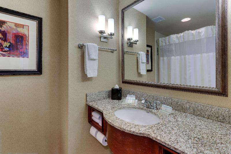 Büyük Çift Kişilik Yataklı Standart Oda, Hilton Garden Inn Indianapolis Airport