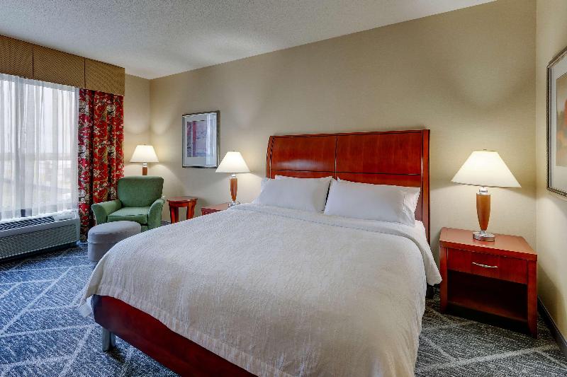 Büyük Çift Kişilik Yataklı Standart Oda, Hilton Garden Inn Indianapolis Airport