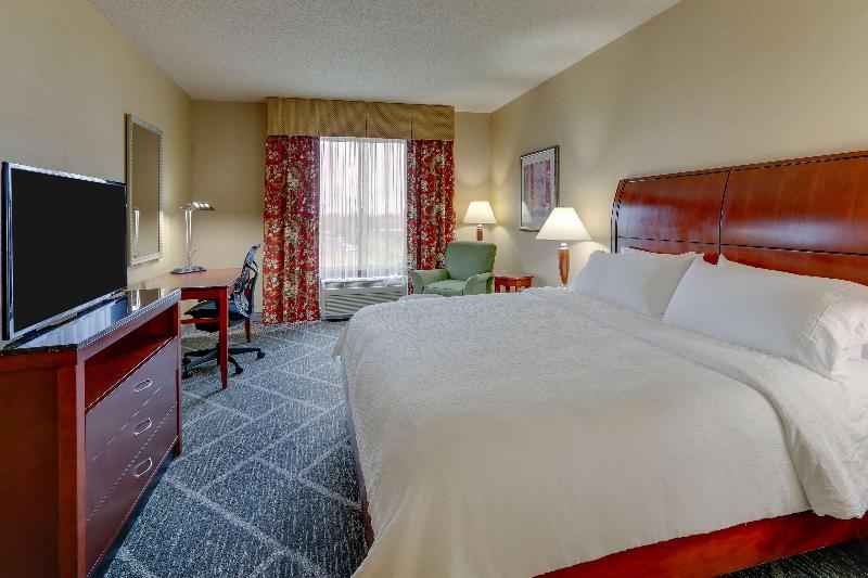 Büyük Çift Kişilik Yataklı Standart Oda, Hilton Garden Inn Indianapolis Airport