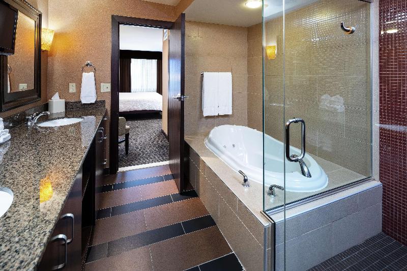带大床的套房, Hilton Garden Inn Sioux Falls South