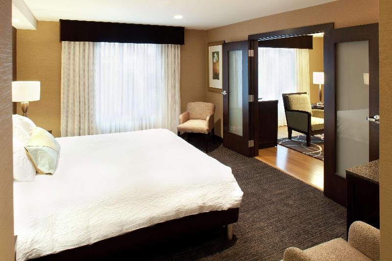 带大床的套房, Hilton Garden Inn Sioux Falls South