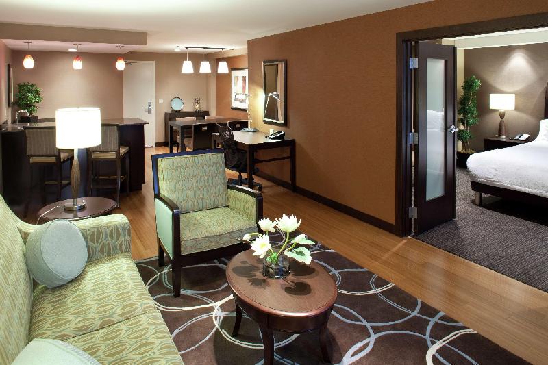带大床的套房, Hilton Garden Inn Sioux Falls South
