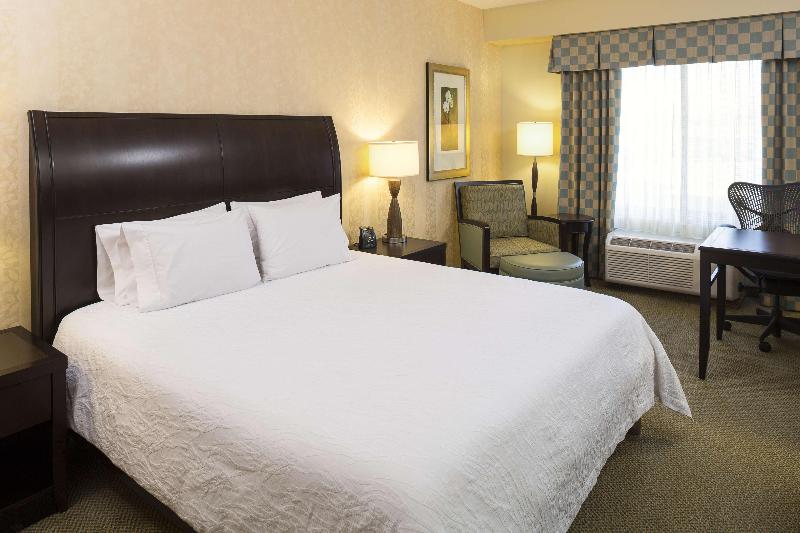 带大床的标准间, Hilton Garden Inn Sioux Falls South