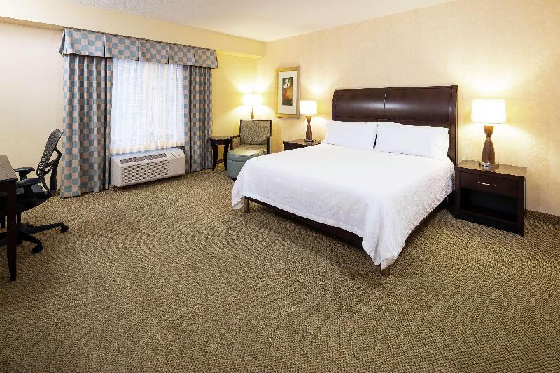 带大床的标准间, Hilton Garden Inn Sioux Falls South