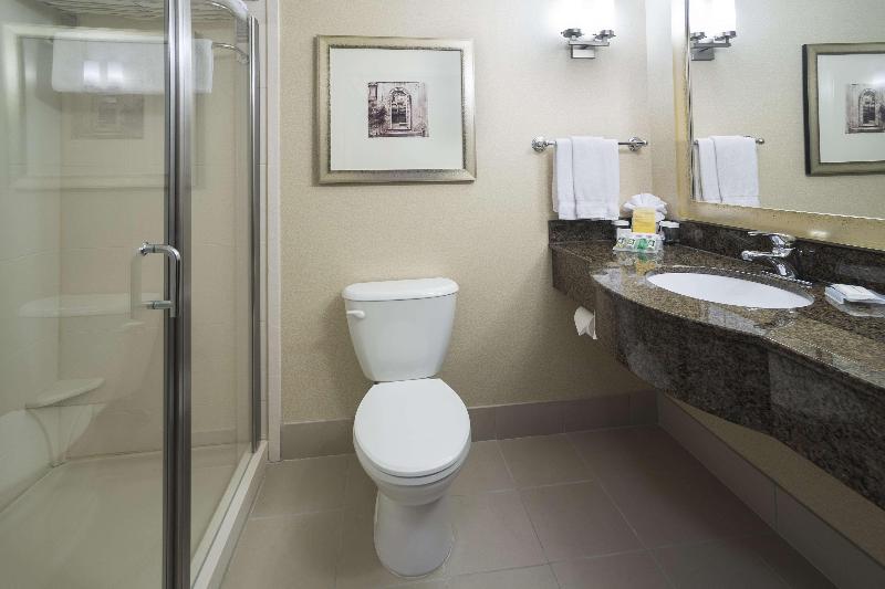 带大床的标准间, Hilton Garden Inn Sioux Falls South