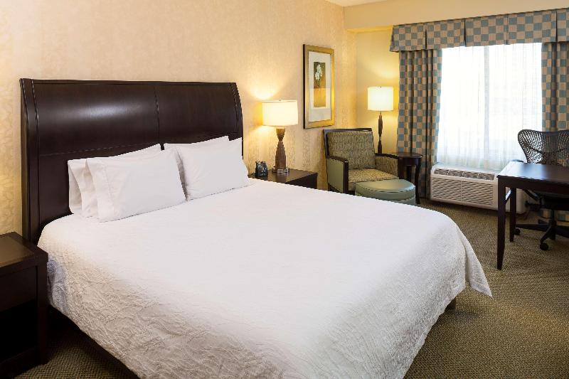 带大床的标准间, Hilton Garden Inn Sioux Falls South