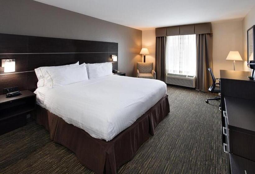 Standardzimmer Kingsize Bett, Holiday Inn Express & Suites East Wichita I 35 Andover, An Ihg