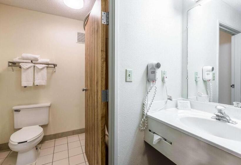 اتاق استاندارد با تخت بزرگ, Quality Inn