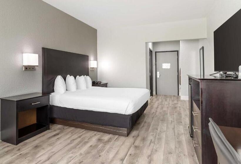 اتاق استاندارد با تخت بزرگ, Best Western Texas City I 45