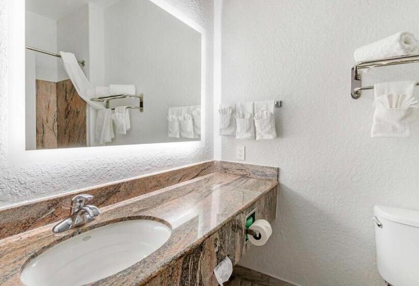 سوئیت با تخت بزرگ, Best Western Texas City I 45