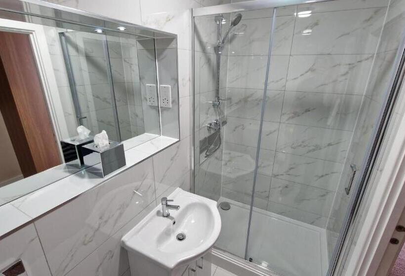 اتاق استاندارد با تخت بزرگ, Best Western Northfields Ealing