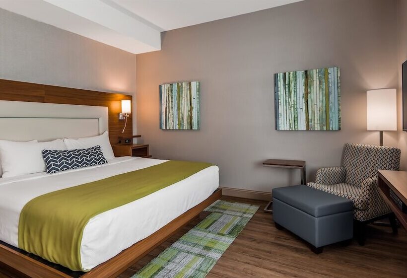 اتاق کلاس بیزنس, Best Western Plus Montlaurier