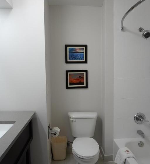 سوئیت با تخت بزرگ, Comfort Inn & Suites Frisco   Plano