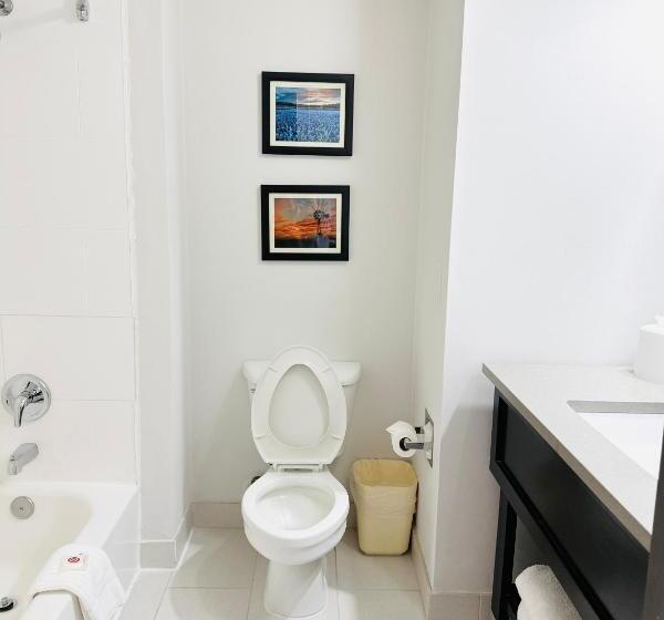 اتاق استاندارد, Comfort Inn & Suites Frisco   Plano