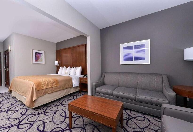 اتاق استاندارد با تخت بزرگ, Comfort Inn & Suites Frisco   Plano